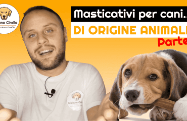 Tappeto Olfattivo DEWEL Per Cani 80x50cm - Con 2 Carote Sonore, Lavabile, Per Giochi Di Ricerca - Foto 5